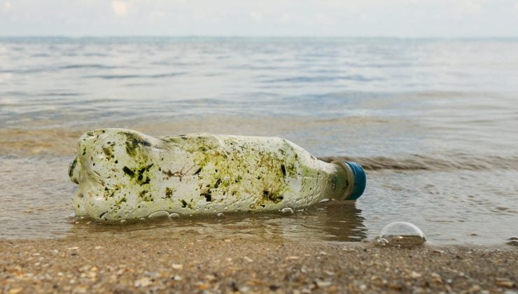 Finlandiya’nın en kirli ve en temiz sahilleri belirlendi