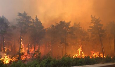 Kalajoki Ormanları’ndaki yangın henüz söndürülemedi