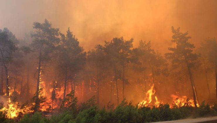 Kalajoki Ormanları’ndaki yangın henüz söndürülemedi