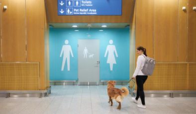 Helsinki Vantaa Havalimanında Köpek Tuvaleti Açıldı