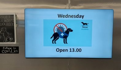 Koronavirüsü tespit eden köpeklerin durumu ne olacak?