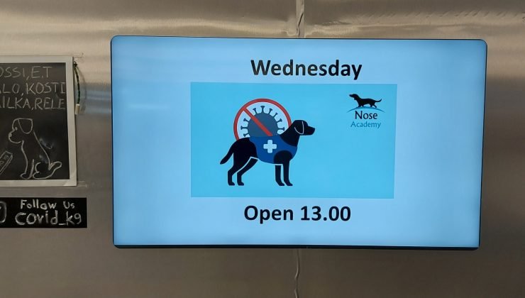 Koronavirüsü tespit eden köpeklerin durumu ne olacak?