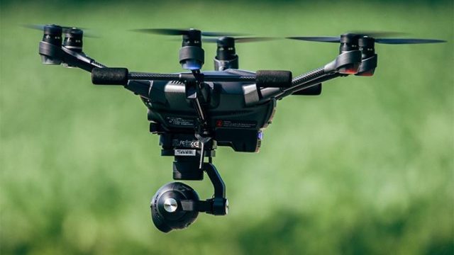 Drone, Yavru Kartalları Rahatsız Etti