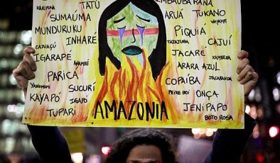 Finlandiya’dan AB’ye Brezilya için Amazon Ormanları Yaptırımı Önerisi