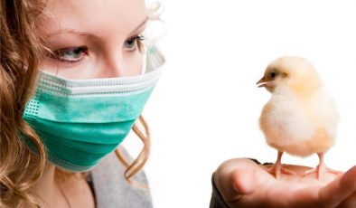 Kuş gribi tehdidine karşı önlem