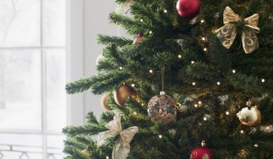 Noel Ağaçları Geri Dönüşüme Gidiyor