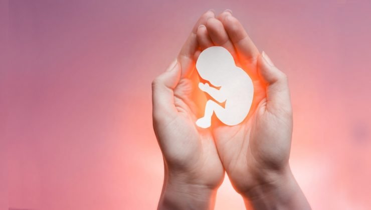 Kürtaj yasasının değişmesi için gerekli olan 50 bin imza toplandı