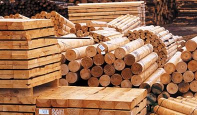 Orman Ürünleri İthalatında Artış