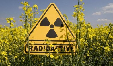 Baltık Denizi bölgesindeki radyoaktif maddelerin sebebi tespit edilemedi