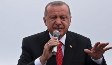 Erdoğan, Finlandiya ve 9 ülkenin büyükelçisini istenmeyen adam ilan etti
