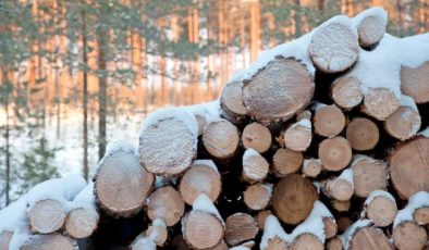 Bir firma daha Rusya’da faaliyetlerini durdurdu