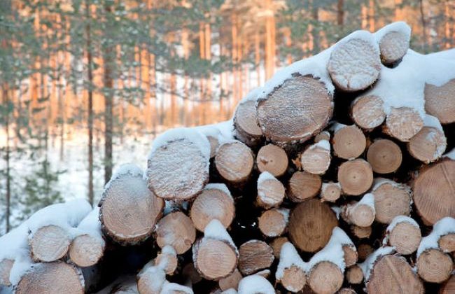 Bir firma daha Rusya’da faaliyetlerini durdurdu