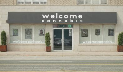 Yasal uyuşturucu kullanımını ile ilgili çalışma başlatılıyor