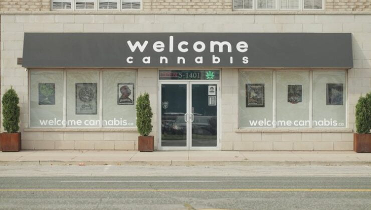 Yasal uyuşturucu kullanımını ile ilgili çalışma başlatılıyor