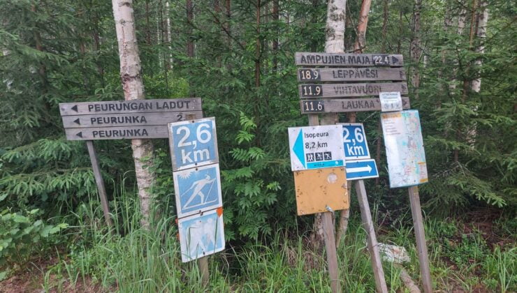 Ormanda korkutan tablo