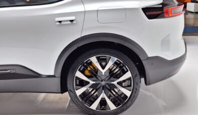 Kayıp kedi 600 km uzakta bulundu