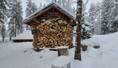 Tervetuloa talvi, Finlandiya’ya yılın ilk karı yağdı