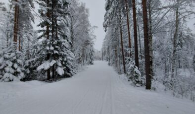 Rusya tarafına geçen adam 112 Acil Durum Merkezi’nden yardım istedi