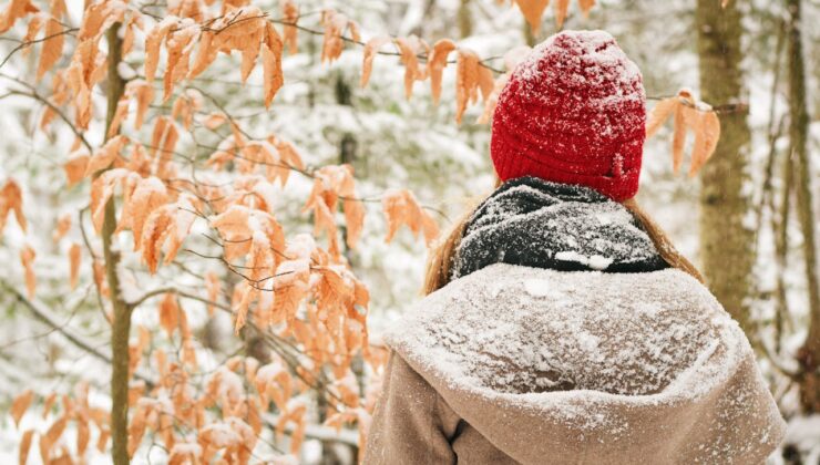 Finlandiya’da hükümetten hepimizi ilgilendiren ceza gibi yeni uygulama