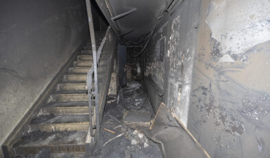 15 yaşındaki göçmen gençler ortalığı kasıp kavurdu