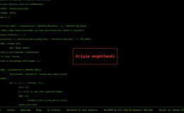 Polis, siber suçlarla mücadele kapsamında 53 yasa dışı siteyi kapattı