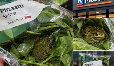 Sebze poşetinin içinden çıkan şey müşteriyi ve market yetkililerini şaşkına çevirdi
