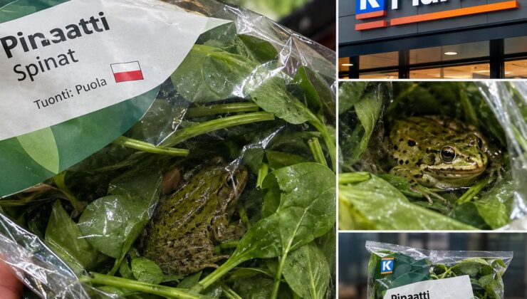 Sebze poşetinin içinden çıkan şey müşteriyi ve market yetkililerini şaşkına çevirdi